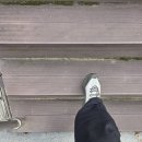 함께 걷는 사람들 | 매일 10km를 걷는 사람들을 위한 신발? 아키클래식 하이마일즈 실제로 10km 걸어본 후기