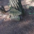 고고25