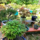 재동농장 이미지