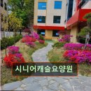 시니어캐슬요양원 | 경기 용인시 요양원 요양센터 정보 시니어캐슬요양원 자연 속 안식처