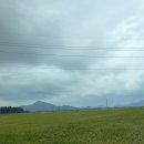 삼촌 스테이 | 강화독채펜션 : 삼촌스테이 내돈내산후기