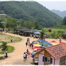 충주 행복한 농장 이미지