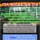 2011년 8월 20일 부산 정모 공지 : 캐나다 어학연수 정모개최 이미지