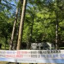 강원 인제 방태산 등산코스 :: 5월 방태산자연휴양림 제1주차장 왕복 10km 원점회귀