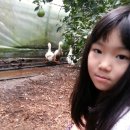 설문대하우스 이미지