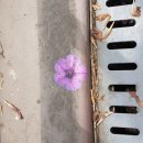 박*순 이미지