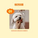 펫스탑 네이버블로그