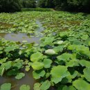 대량농장 이미지