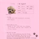 1285 | [#1285] 양갱(좌측 경골결절 찢김골절)의 수술후기