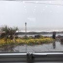 여름 제주동쪽여행 day3-빛의벙커,제주카페 버터베터,큰엉해안정승지,남원읍 청해수산
