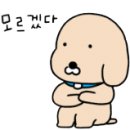 본본 티스토리