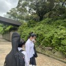 청소년오케스트라 연주회 이미지