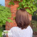 일산 킨텍스 미용실 준호헤어 가든 원마운트 백동인원장 커트