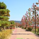 가야시장(아라길) 이미지