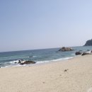 쏠피치 Daum카페