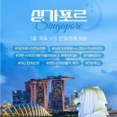 신세계여행사 이미지