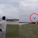 이륙농장 이미지