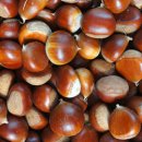 밤두둑농장 이미지