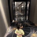 [22주 태교여행 ,19개월 아기랑 마카오 여행] DAY-4(그랜마 로사스 포르투갈 에그타르트,추이와TUSI WAH...