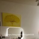 한결바디스킨