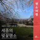 번암리 조천 연꽃공원2 이미지