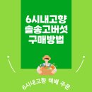 주식회사송이향 네이버블로그