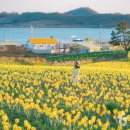 선도식당 이미지