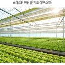 주신농장 이미지