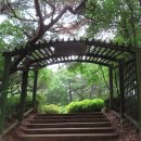 도심 속 완벽한 피톤치드 샤워, 봉제산 잣나무숲 사색의 길 이미지