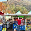 선운사의추억 | 고창 선운사 폴바셋, 애견동반 후기