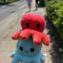 지에스25소양벚꽃로점 이미지