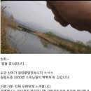 대초천 이미지