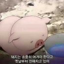 대명춘