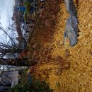 삶의 기쁨은 단순한데서 이미지