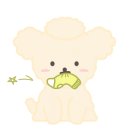 소금소금 펫살롱 이미지