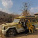 번개랜드 | 에버랜드 3월 평일 후기｜워킹사파리·판다월드·나비정원 눈치싸움 대성공