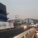 우남동물병원 네이버블로그