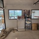 예뻐질개 이미지