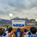 10] NPB(일본프로야구)⚾️ 요코하마 DeNA 베이스타스 직관후기 | 요코하마스타디움 | 요코하마 여행코스 추천