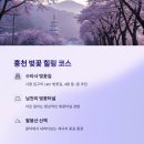 양수대교~세미원입구 이미지