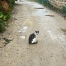 예끼마을민박 이미지