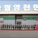 영천유통