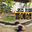 원주 아기랑 온실 카페 뜰에샘 실내정원 화덕피자 추천후기