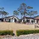 경주남산한의원 이미지