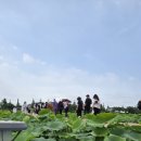 걷기명상대회를 성황리에 마쳤습니다. 이미지