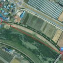 이팝나무길 이미지