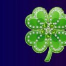 주식회사시작부동산중개법인 이미지