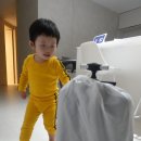 이지마트 | 마이크로 러기지 이지 타는캐리어 실사용 후기! 여행은 물론 마트까지 휘뚜루마뚜루템 아기캐리어