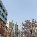 신성뉴타운공인중개사사무소 이미지