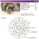 뱅크트리 이미지